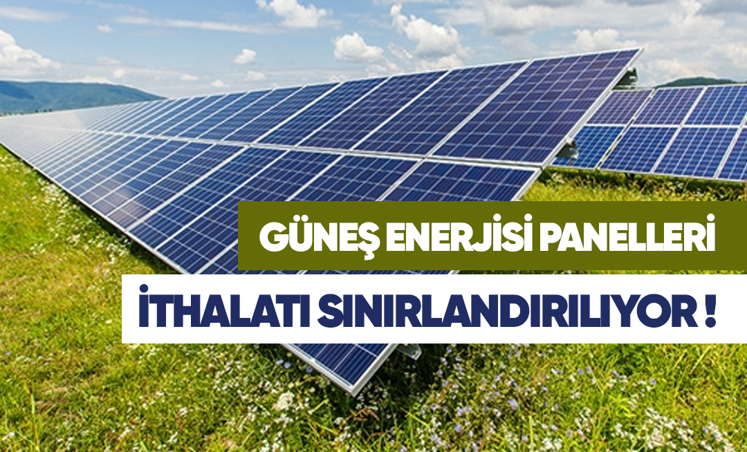 STA Gümrük Müşavirliği